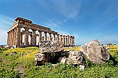 Selinunte the temple hill - Temple E. Perhaps dedicated to Era (Juno), (V c BC), it was reconstructed in the mid-fifties with  the anastylosis method. 